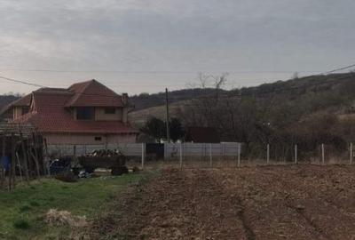 Teren intravilan pentru DEZVOLTATORI - 2