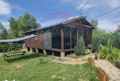 Casă cu 3 camere cu Teren 1268 Mp în Săpânța - 14