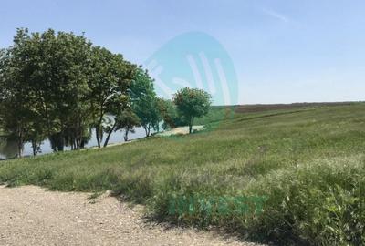 Teren Construcții intravilan de 655 mp, în Moara Domnească - 3