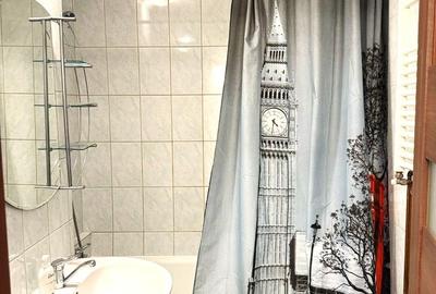 Garsoniera Pat - centrala proprie 5 min M Gorjului DB1211 - 7