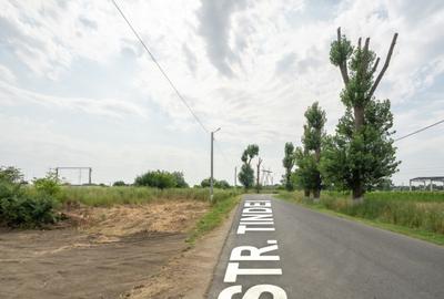 Teren Cernica,pentru Dezvoltare Reziden?iala sau Industria - 18