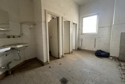 Spațiu industrial, de 1,200 mp, în Buziașului - 7