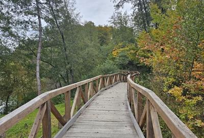 Teren intravilan 2000 mp zona Lac Stei Teren intravilan 2000 mp zona Lac Stei - 4