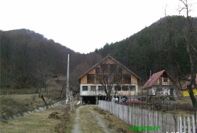 Casă cu 3 camere cu Teren 2500 Mp în Sălătrucu - 8