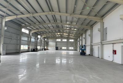 Hala noua 1.300 mp Zona Industriala Vest Sibiu - 4