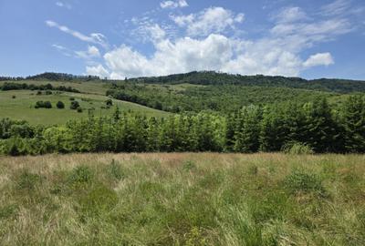 Teren splendid Garcina - 1