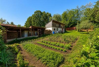 Casă individuală cu 5 camere cu Garaj în Ilieni - 4