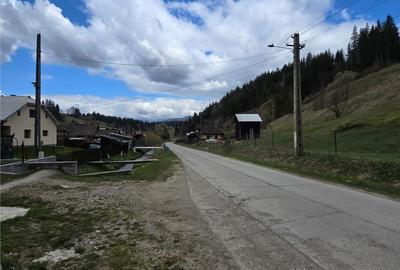 Teren de 9000 mp, în Dorna-Arini - 6