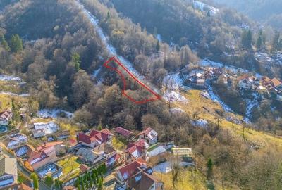 Teren Construcții intravilan de 1577 mp, în Schei - 1