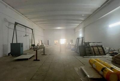 Hale industriale de inchiriat in zona Aradului - 3