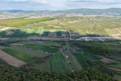 Teren Construcții intravilan de 27000 mp, în Central - 2