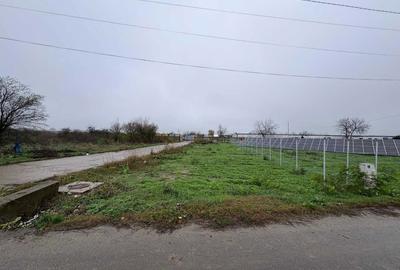 Teren de 645 mp, în Copăceni - 3