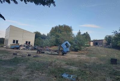 Casa cu teren 2200 mp si hala noua de 154 mp in localitatea Bodrogu Nou la 10 km de Arad - 3