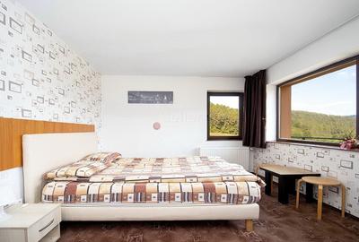 Pensiune Turistica Montana - 13