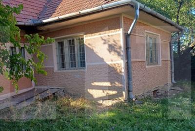 Casă cu 3 camere cu Teren 7600 Mp în Central