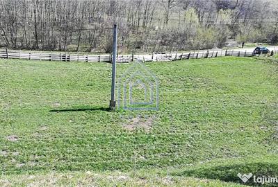 Teren de 10566 mp, în Vama - 4