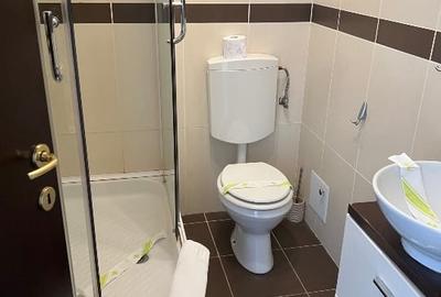 Apartament de vacanță pârtia CLĂBUCET - 9