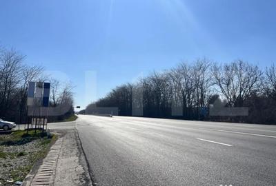 Teren de 12500 mp, în Ișalnița - 3