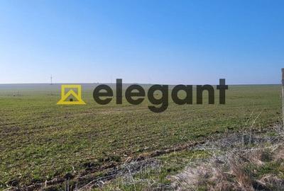 Teren 1.500 mp, deschidere 15 ml, Carcea in apropiere de VEROTHERM VILLAS - 3