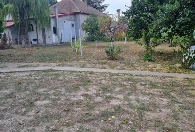 Vand schimb casa aproape de Dunare, muntii Macinului, zona viticola - 7