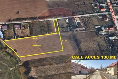 Teren 5,000mp Rusi-Ciutea / Strada Margaretelor - 9