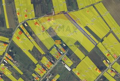 TEREN INTRAVILAN 2900 mp ȘIMLEU SILVANIEI/ Str. Corneliu Coposu/Sălaj - 11