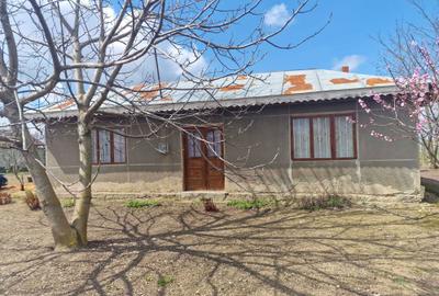 Casă cu 4 camere în Berteștii de Jos - 2