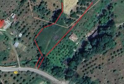 Teren de 9800 mp, în Pietrari - 6