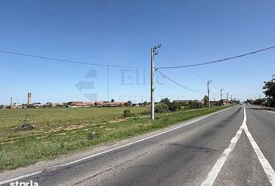 Teren de 5000 mp, în Cefa