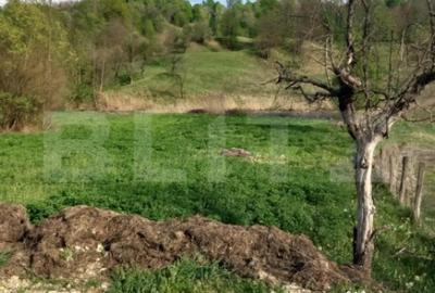 Teren de 4252 mp, în Central