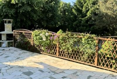 Casă cu 5 camere cu Teren 2100 Mp în Ghencea - 10