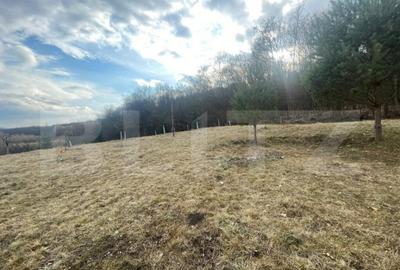 Teren Extravilan, 2526 mp, zona Slatinitei - 1