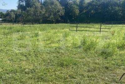 Spațiu comercial, în Doroteia - 2