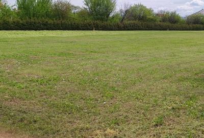 Spațiu comercial, în Miroslava - 2