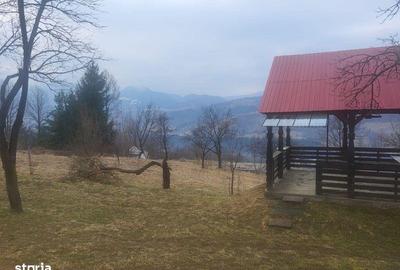 Teren de 5976 mp, în Moisei