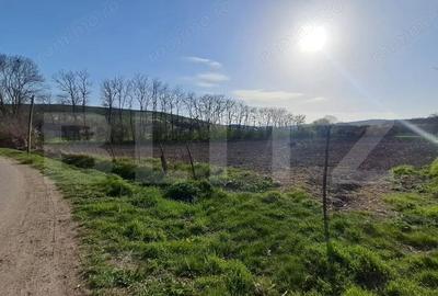 Casă cu 2 camere cu Teren 15000 Mp în Central - 12