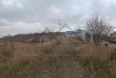 REDIU, teren 3350mp. intravilan cu utilitati trase, (dezv. imobiliara) - 8