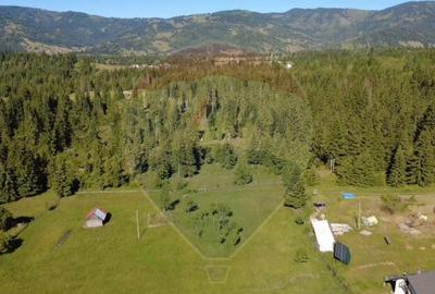 Teren 19,370mp Neagra Sarului / Strada ?estina - 7