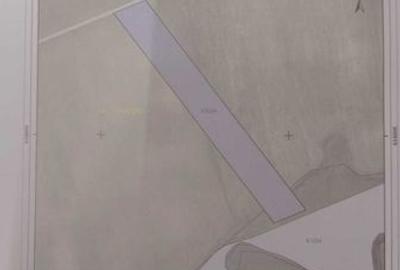 Teren de 10000 mp, în Dumești - 2