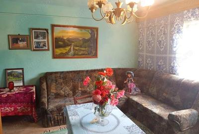 Casă cu Teren 1439 Mp în Brădișoru de Jos - 4