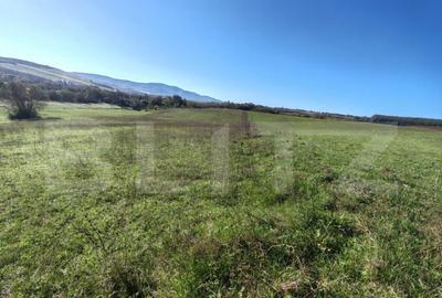 Teren intravilan de vanzare - 9