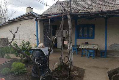 Casă cu 3 camere cu Teren 2500 Mp în Balabancea - 3