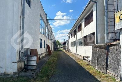 Spațiu comercial, de 1,200 mp, în Bună Ziua - 5