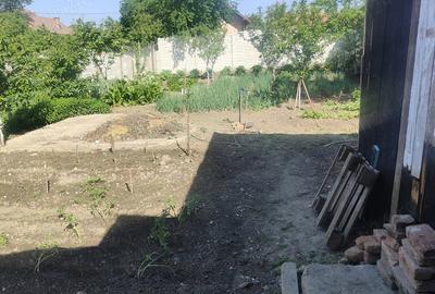Casă cu 3 camere în Central - 2