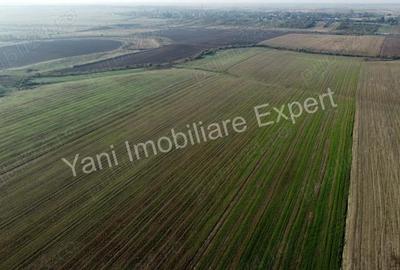 Teren de 105000 mp, în Oarja - 1