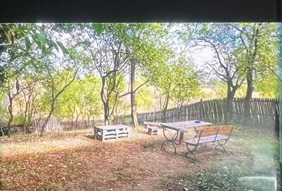 Casă cu 4 camere cu Teren 1800 Mp în Bârsoiu - 4