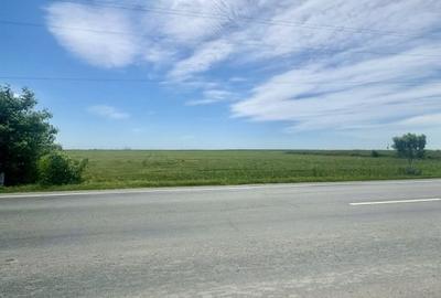 Teren Construcții intravilan de 18416 mp, în Mihăilești - 4