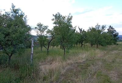 Casă cu 4 camere în Răbăgani - 7
