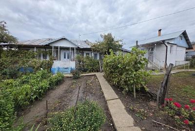 Casă cu 3 camere cu Teren 3000 Mp în Deleni - 1