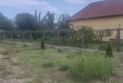 Teren de 8594 mp, în Runcu - 4